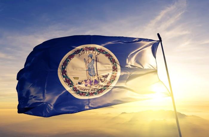 Virginia state flag